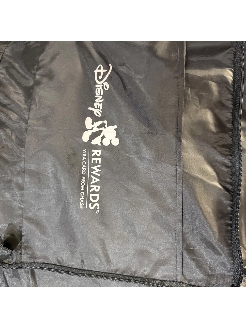 Disney Rewards Mickey Mouse Fold Up Picnic Blanket Bag Chase Visa Promo Cushion